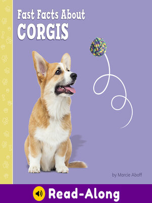 cover image of Fast Facts About Corgis